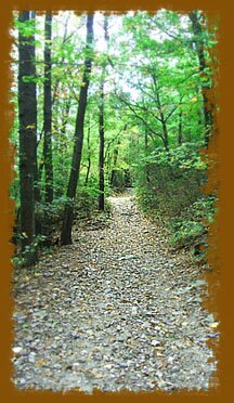 Great Brook Preserve Conservation Land