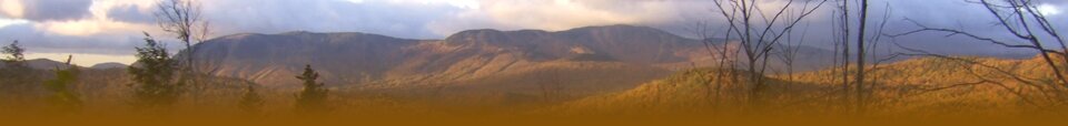 View From Great Brook Preserve