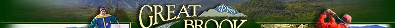 Great Brook Preserve - Maine Land & Property for Sale