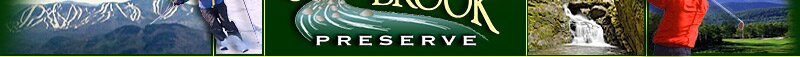 Great Brook Preserve - Maine Land & Property for Sale