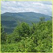 Buy land in Maine